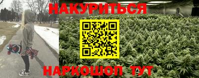 ГАЛЛЮЦИНОГЕННЫЕ ГРИБЫ Тара