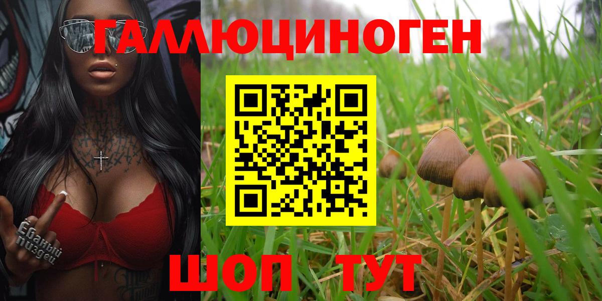 Псилоцибиновые грибы прущие грибы  Вход с VPN  Новокубанск 